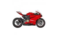 Custom Ducati 1299 Fairings UK