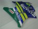 1995-1996 Honda CBR600 F3 Motorcycle Fairings - Blue Green Yellow MoviStar Red Castrol UK