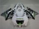 1995-1996 Honda CBR600 F3 Motorcycle Fairings - White Silver Green Hannspree UK