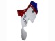 2005-2010 BMW K1200S Abs Fairings - White Red Blue UK