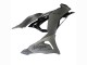 2023-2026 Kawasaki ZX6R Motorcycle Fairings - Grey Ninja UK