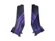2005-2006 Honda CBR600RR Motorcycle Fairings - Matte Black Purple UK