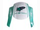 2005-2006 Honda CBR600RR Motorcycle Fairings - Light Green White Glossy Black Joe Rocket UK