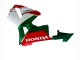 2005-2006 Honda CBR600RR Motorcycle Fairings - Red White Green UK