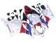 2009-2012 Honda CBR600RR Motorcycle Fairings - White Red Blue UK