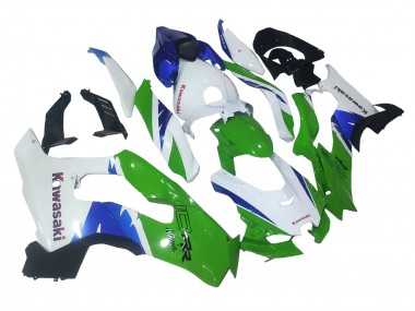 Custom 2021-2025 Kawasaki ZX10R Motorcycle Fairings - White Green Blue Black UK