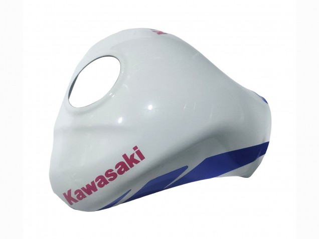 2021-2025 Kawasaki ZX10R Motorcycle Fairings - White Green Blue Black UK
