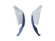 2021-2025 Kawasaki ZX10R Motorcycle Fairings - White Green Blue Black UK