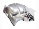 1996-2007 Suzuki GSXR 1300 Hayabusa Motorcycle Fairings - White Silver Hayabusa UK