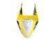 2019-2021 Yamaha YZF R3/R25 Motorcycle Fairings - Yellow White Black Stripe UK