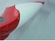 1998-1999 Yamaha YZF 1000 R1 Motorcycle Fairings - Red White Black Dunlop UK