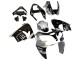2002-2003 Kawasaki ZX9R Motorcycle Fairings - Silver Glossy Black Monster Elf UK