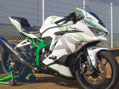 Custom 2019-2025 Kawasaki ZX4R ZX-4RR Motorcycle Fairings - White Silver Green UK