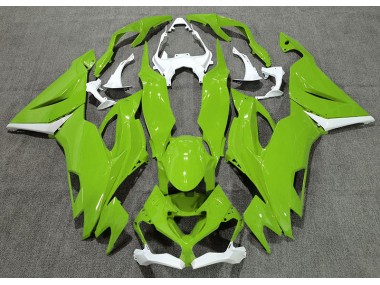 Gloss Green & White 2019-2023 ZX6R Motorcycle Fairings