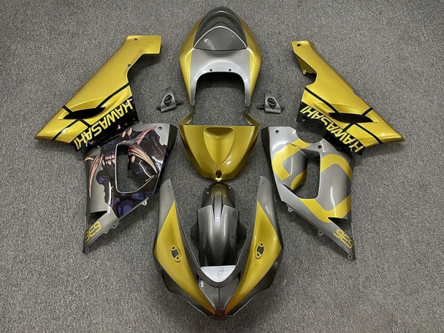 Gold and Silver 2005-2006 ZX6R Motorcycle Fairings Gold and Silver 2005-2006 ZX6R Motorcycle Fairings