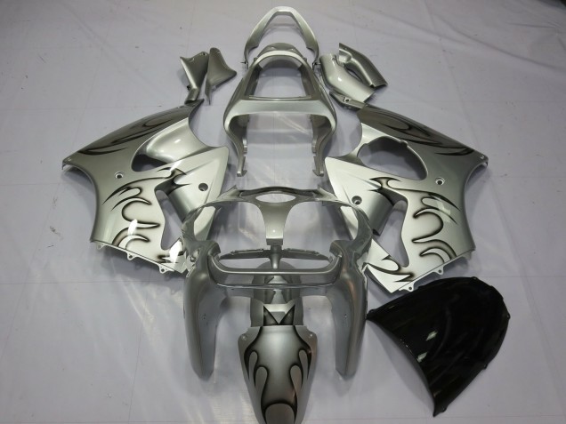 Silver Flame 2000-2002 ZX6R Motorcycle Fairings Silver Flame 2000-2002 ZX6R Motorcycle Fairings